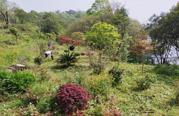 图片4.png 图片4.png